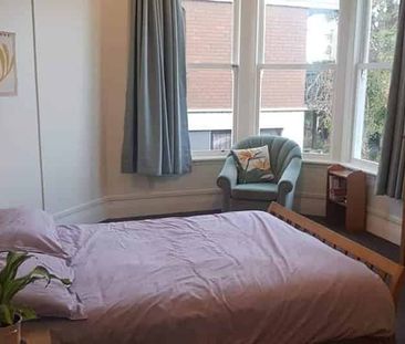 Rare Find! Spacious One-Bedroom Just Minutes from Town - Photo 4