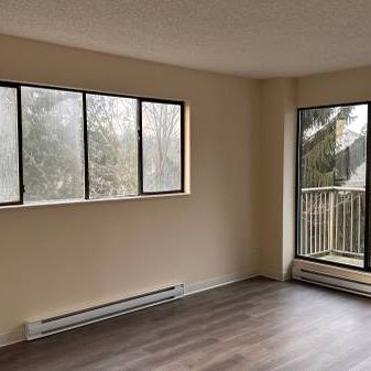 MARCH 2025 1-Bedroom Fully Renovated close to SkyTrain (Lougheed) - Photo 1