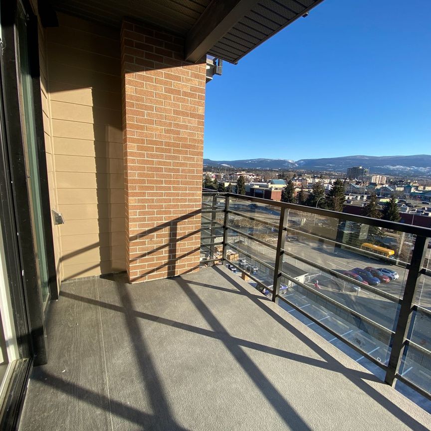 NEW 1 bed/1 bath at The Beverly - Photo 1