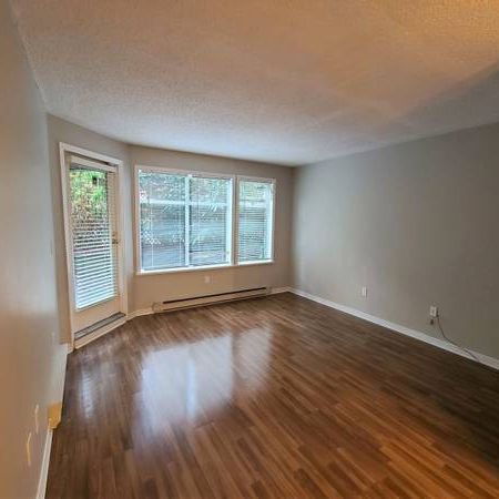 CHARMING 1 BEDROOM SUITE AVAILABLE OCT 1ST AT LAUREL PLACE IN VANCOUVE - Photo 3