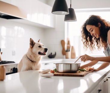 4 ½ à Louer, Animaux Acceptés! - Photo 2