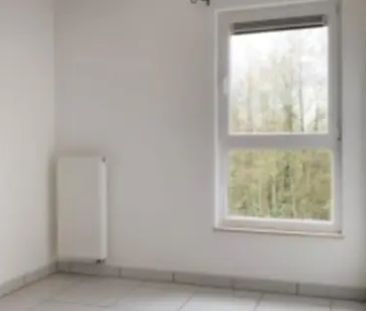 Allee des Oiseaux 36 42, 7000 Mons, België - Photo 3