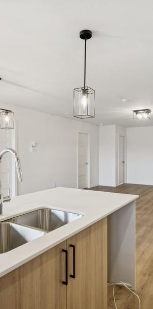 4 ½ SPACIEUX ET FLAMBANT NEUF – VALLEYFIELD - Photo 1