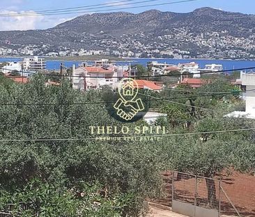Μεζονέτα για ενοικίαση Πόρτο Ράφτη (Μαρκόπουλο) - Photo 1
