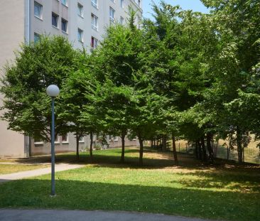 1-Zimmerwohnung mit Lift in 1100 Wien zu vermieten - Photo 6