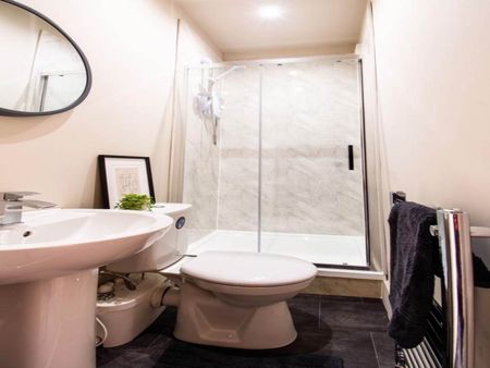 Dewsbury Road (Room 2), Beeston, Leeds - Photo 5