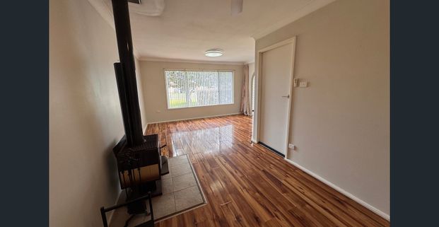 Catch of the Day - Photo 1