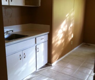 2 Bedrooms,large apartment! Amazing Location! Close to U of C! - Photo 2