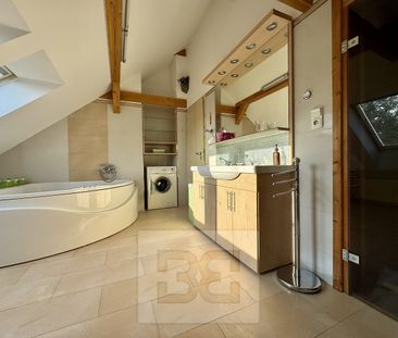 Pronájem bytu 3+kk 195 m² - Photo 5