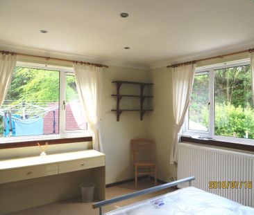 1 bedroom mews to rent - Photo 4