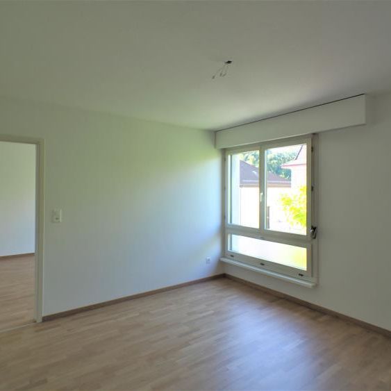 Schöne 3-Zimmerwohnung mit Balkon in Zürich - Foto 1