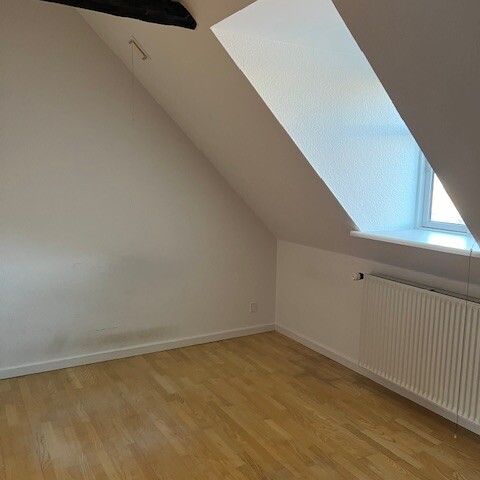 Frederiksgade 24B ST 7800 Skive - Photo 1