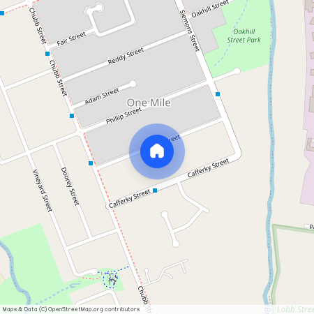 20 Coyne St, One Mile QLD 4305