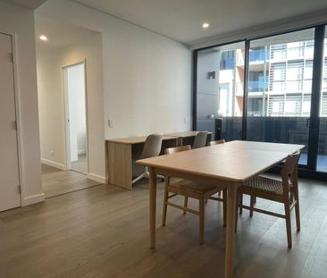 Brand New 2 Bedroom Apartment in Zetland (Electricity and Gas bills... - Photo 1