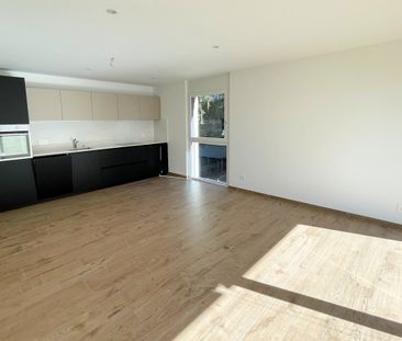 Via Rompeda, 6512, Giubiasco - Photo 5