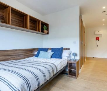 Standard Studio - Photo 6