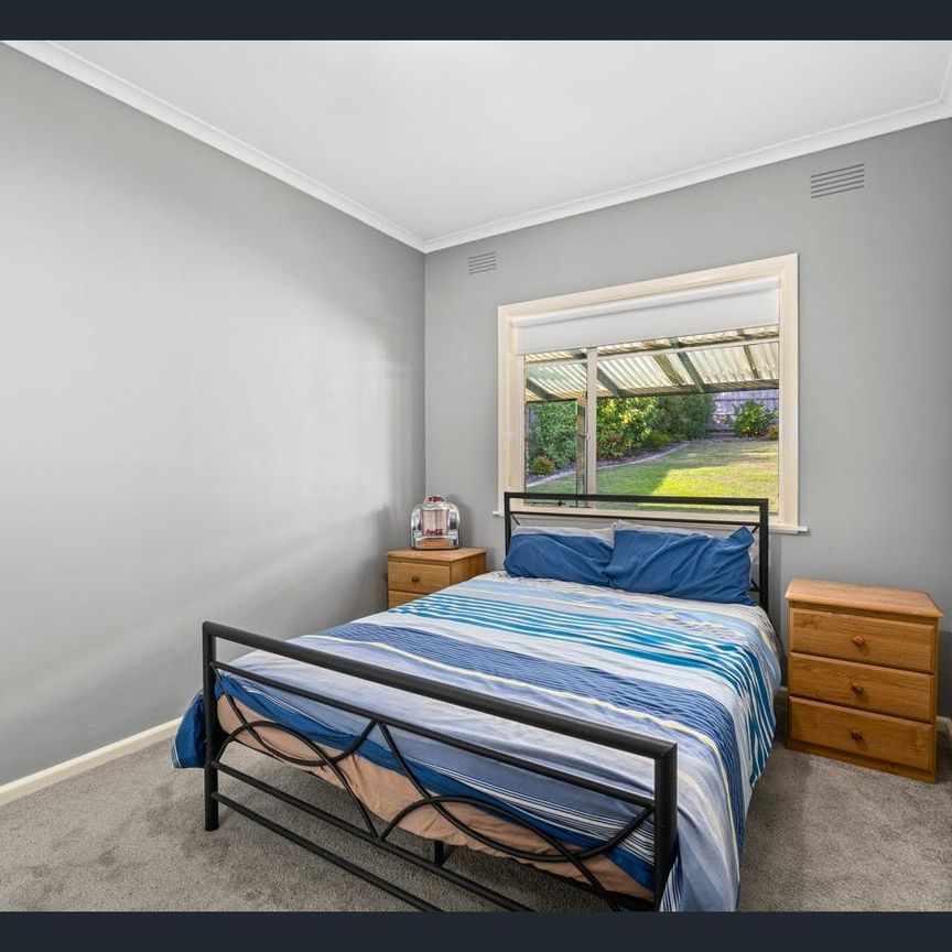 Close To Everything! - Photo 1