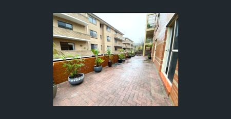 Three bedroom apartment with massive yard in Coogee - Photo 2