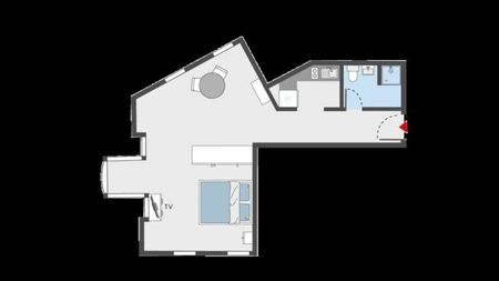 Furnished apartment in the center of Zurich - Photo 5