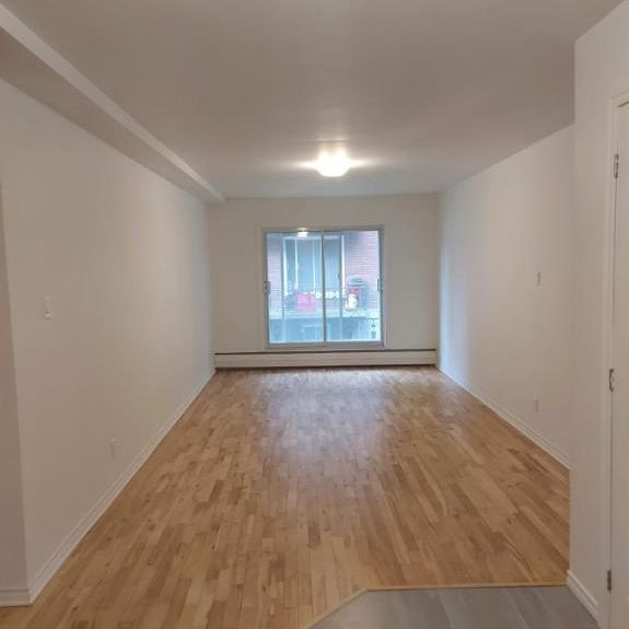 1 CH - 1 SDB - Laval - $1,300 /mo - Photo 1