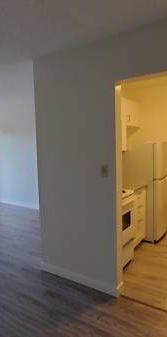 Renovated 1-Bed 1-Bath Unit in Mount Pleasant - Photo 1