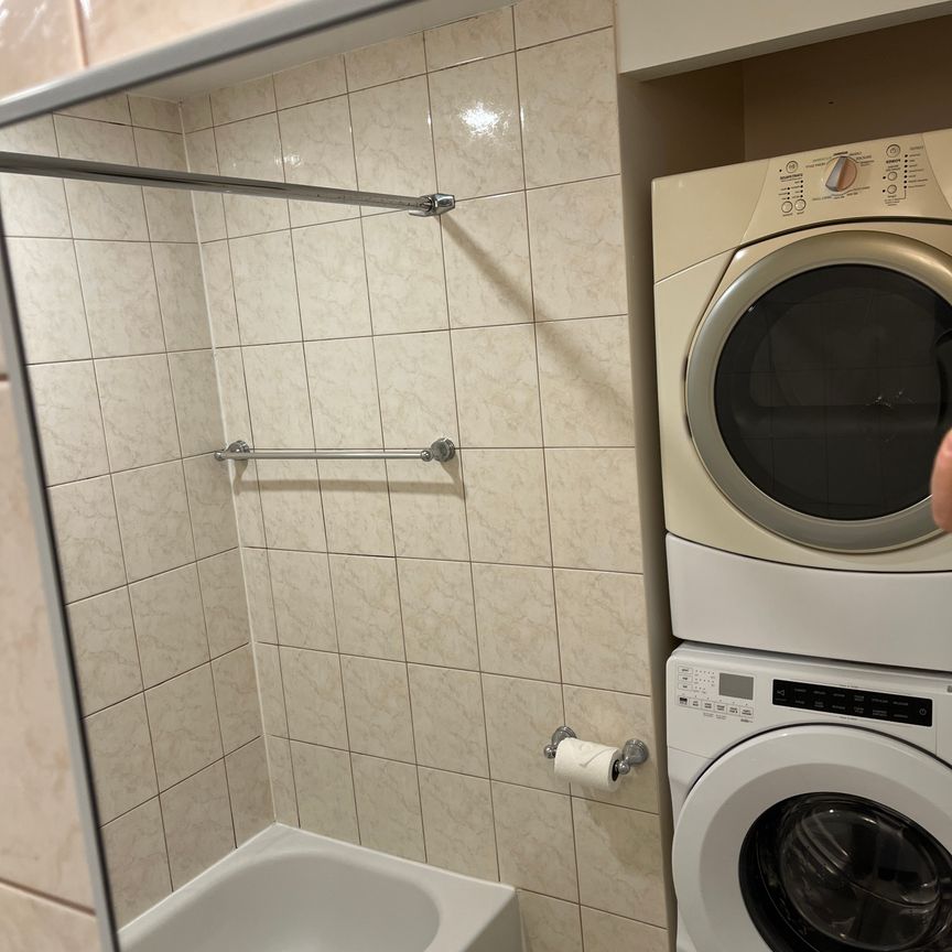 Lasalle 3 1/2 rénové avec électroménagers - Photo 1