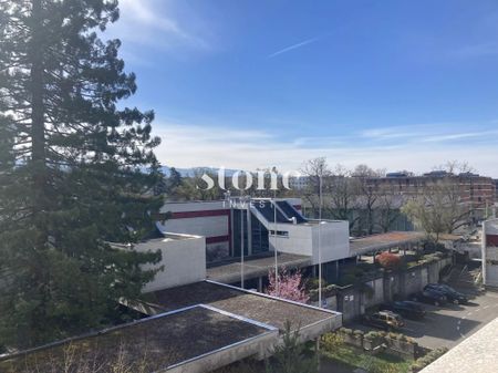 charmant 4 pièces 1/2 au 5ème étage au Grand-saconnex - Photo 4