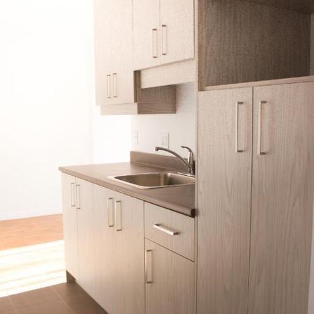 4 1/2 SITUÉ DANS UN SECTEUR PAISIBLE - ENTIÈREMENT RÉNOVÉ - 1355$/MOIS TOUT INCLUS, DISPONIBLE POUR NOVEMBRE - Photo 4