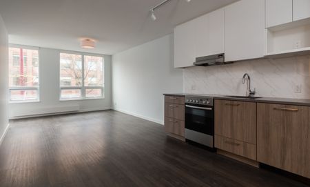 183 East Georgia Street, Vancouver - Photo 5