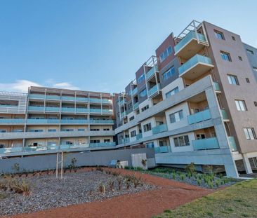 Modern one bedroom in Molonglo Valley - Photo 2