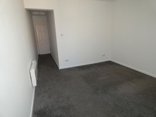 Palatine Road Flat 3 - Photo 1