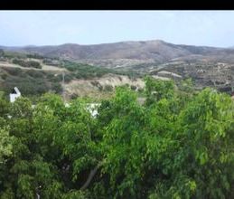 Μονοκατοικία για ενοικίαση - Επισκοπή, - Φωτογραφία 5