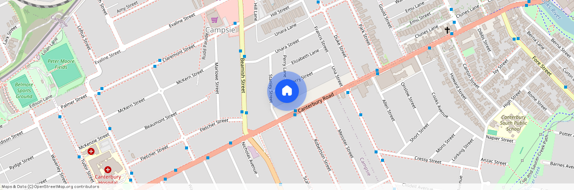 38 Perry Street, NSW 2194, Campsie