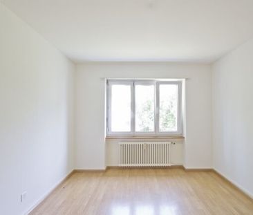 Cozy apartment in Muttenz - Photo 1