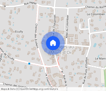 TREVES PAQUES 21BIS, - Photo 1