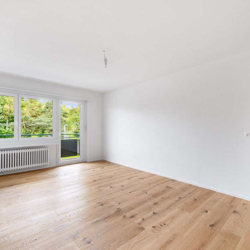 Beautiful living at Irchelpark! - Photo 1