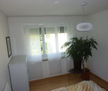 3 Zimmer, EG - Photo 5