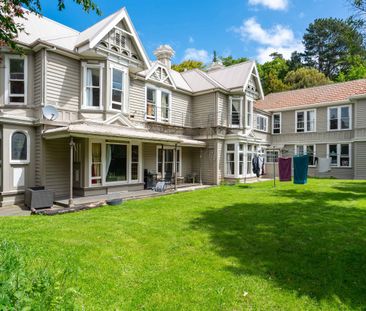 Spacious Rooms Available in Central Dunedin - From $215/week (Utili... - Photo 2