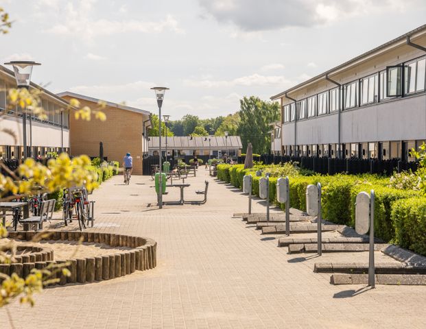 Jyttevej, Lundsgaardsgade og Heimdalsgade - Photo 1