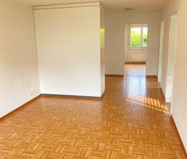 2.5 Zimmer, 55 m², 1. Stock - Foto 1