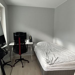 Gaffelseglet, Vega - Photo 2