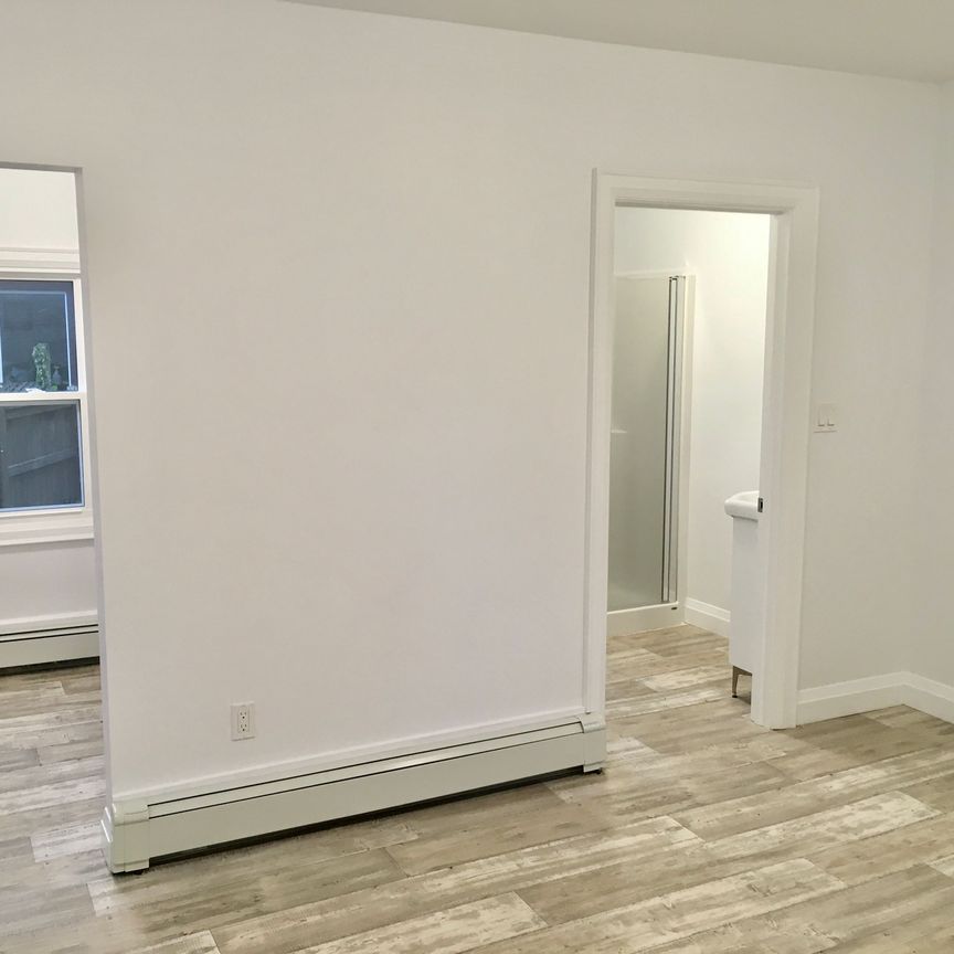 For Lease - 163 Welland Avenue Unit# Rear Unit, St. Catharines, Ontario - Photo 1