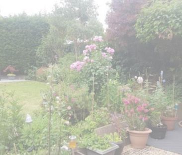 4 bedroom house to rent - Photo 2