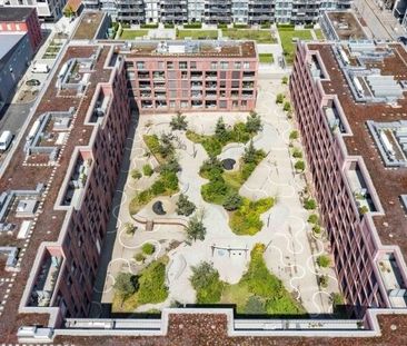 You need space that the ROY has - Photo 2