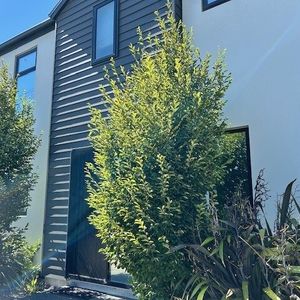 Lovely modern townhouse in great location! - Photo 2