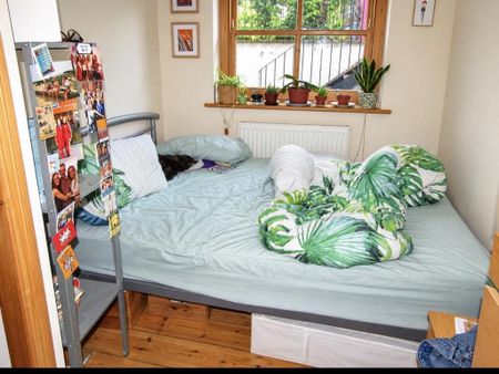 3 bedroom apartment to rent - Photo 4