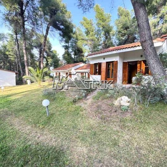 Μονοκατοικία για ενοικίαση Σανή (Κασσάνδρα) - Photo 1
