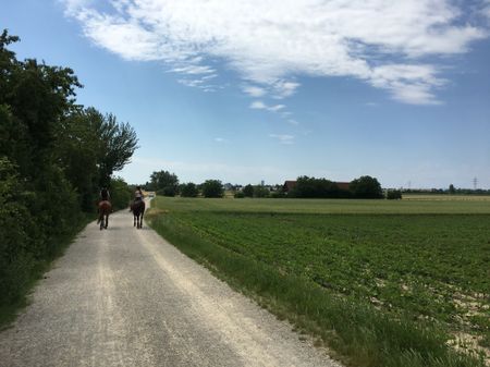 Zwei verbundene Wohnungen! Ideal für Mehrgenerationen, Homeoffice oder Vermietung - Photo 3