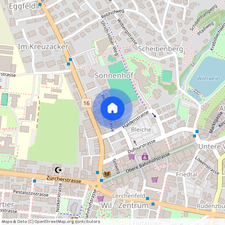 Wolfhaldenstr. 5, 9500, Wil Sg