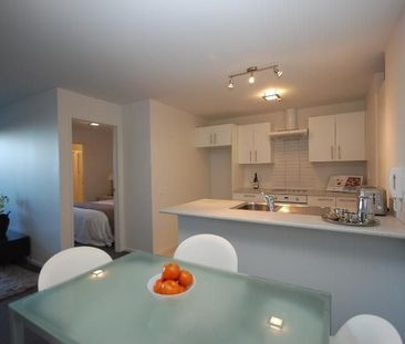 Chic 2BR Onehunga Oasis w/ Pool! - Photo 6